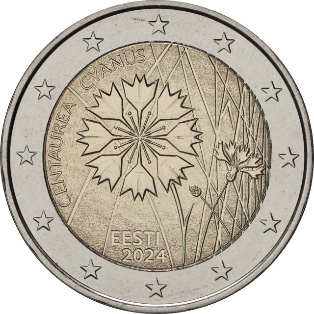 Estland 2024 – Die Kornblume, Estlands Nationalblume