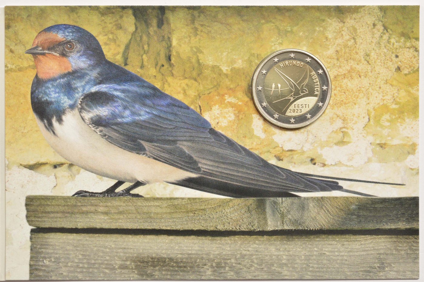 Coincard