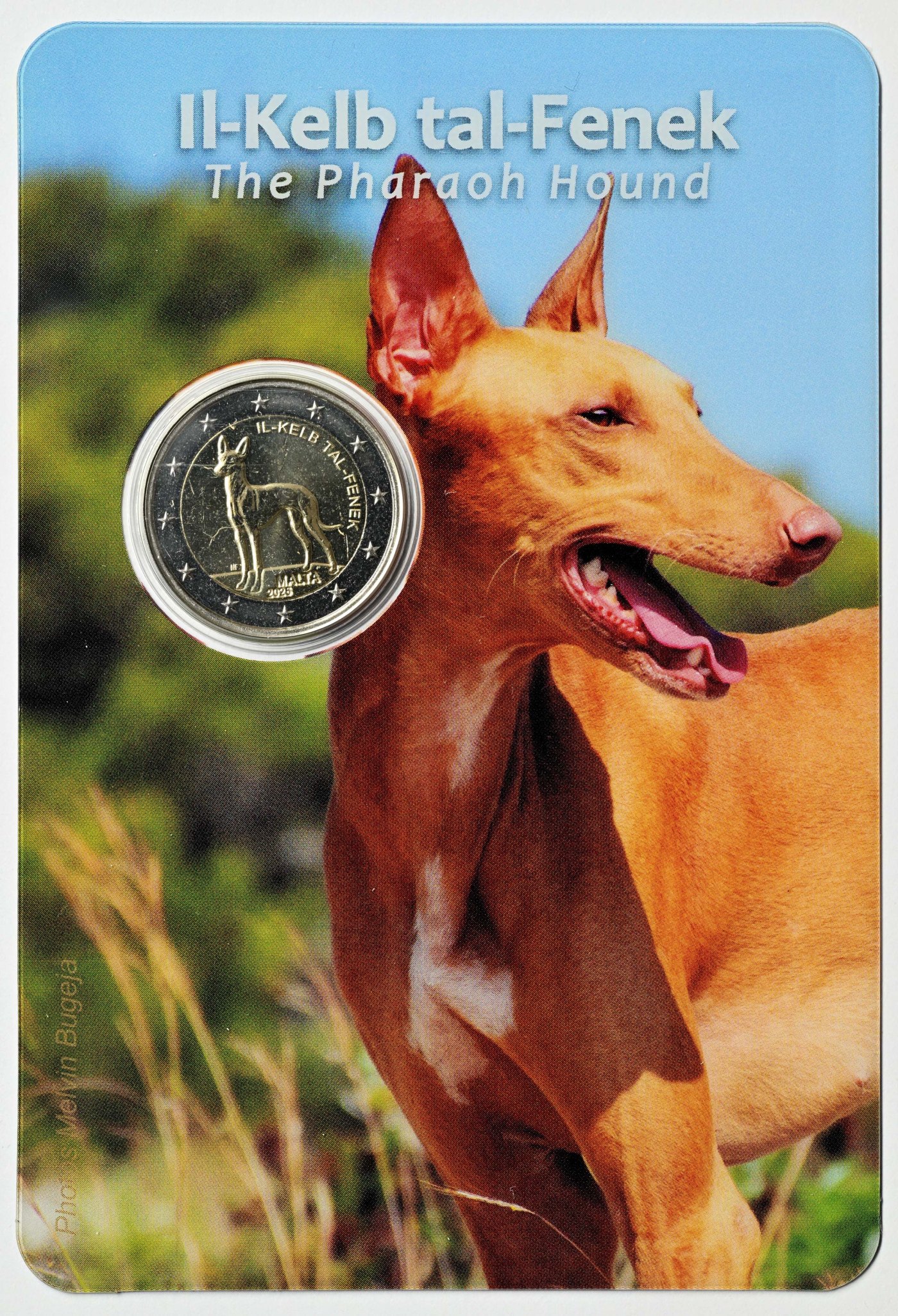 Coincard